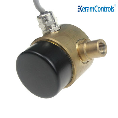 Interruptor de presión diferenciada líquido del alambre de BSP 2 24V