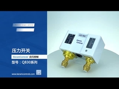 Interruptores de presión ajustables duales de acero inoxidables para la bomba de agua